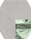 HEX PANAMA DARIEN 25X25 - Image 3