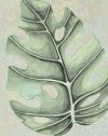BOTANIC JADE 25X25 - Image 2